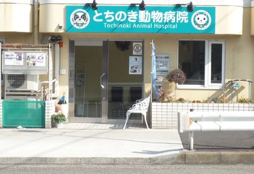 とちのき動物病院