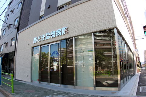勝どき動物病院