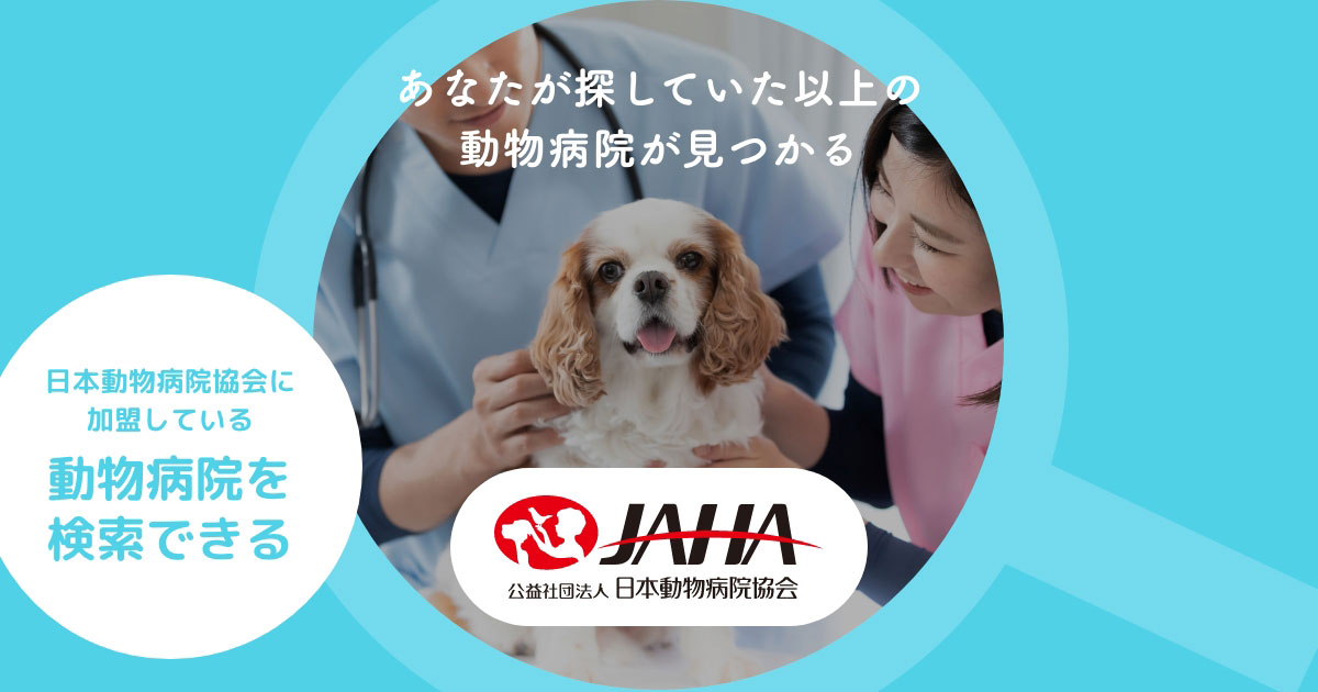 JAHA×つなぐ 動物病院オンライン合同説明会（2024年6月） ｜ 公益社団 